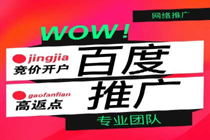 案例分析：SEM竞价代运营实现盈利增长